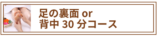 脚の裏面or背中30分コース