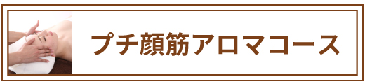 プチ顔筋アロマコース