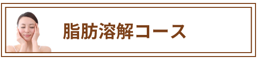脂肪溶解コース