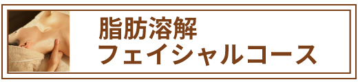 脂肪溶解フェイシャルコース 